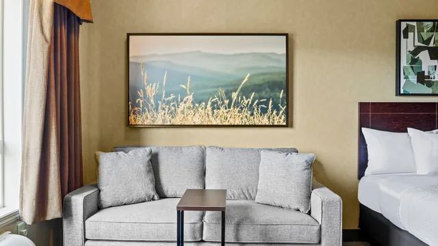 Ramada by Wyndham Drumheller Hotel & Suites photo 4