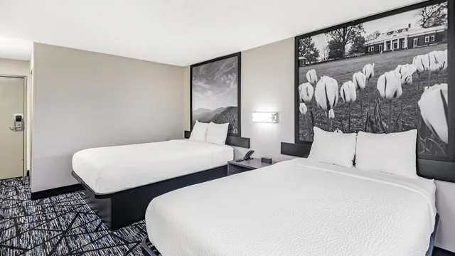 Super 8 by Wyndham Charlottesville photo 3