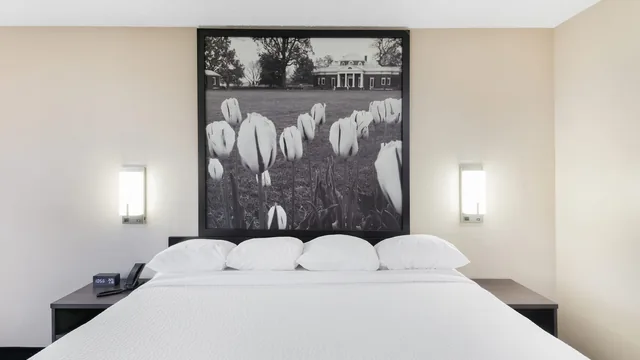 Super 8 by Wyndham Charlottesville photo 4