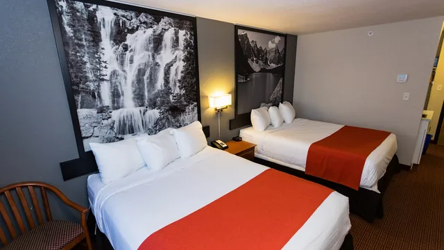 Super 8 by Wyndham Drayton Valley photo 5
