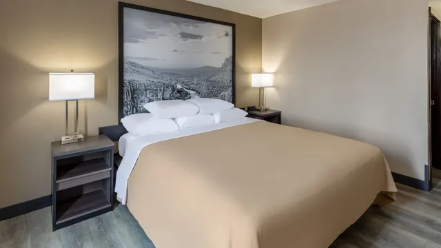 Super 8 by Wyndham Laredo photo 9