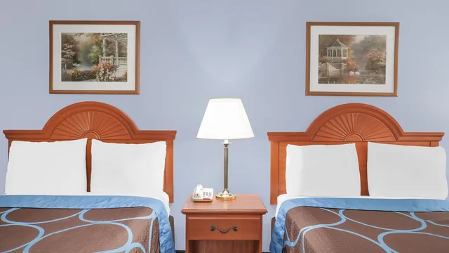 Super 8 by Wyndham Middletown photo 7