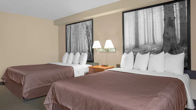 Super 8 by Wyndham Sault Ste Marie On photo 7