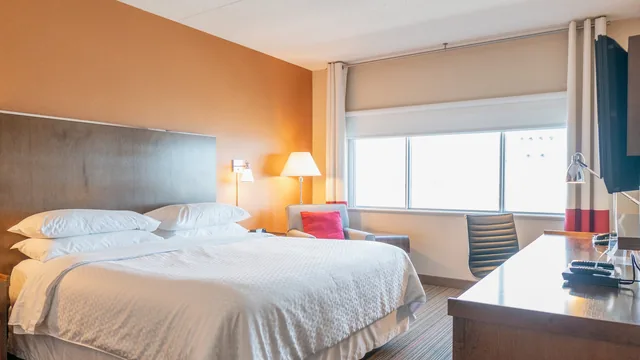 Lakeview Signature, Trademark Collection by Wyndham photo 6