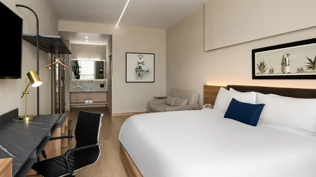 TRYP by Wyndham Ciudad Guzman UTTSA photo 10