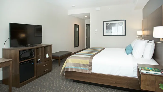 Wingate by Wyndham Calgary Airport photo 11