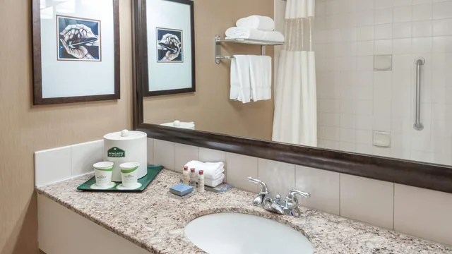 Wingate by Wyndham Edmonton West photo 3