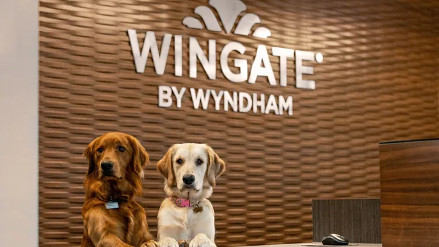 Wingate by Wyndham Lethbridge photo 9