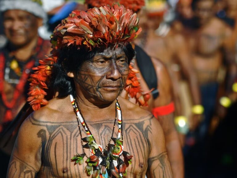 🇧🇷 Fambras Brazil Faces Allegations Over Halal Certification in Amazonas