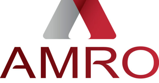 ASEAN +3 Macroeconomic Research Office (AMRO) Singapore logo